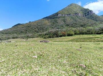anf004-1 · Fazenda em Anitápolis com cachoeiras nascentes araucárias e altitude