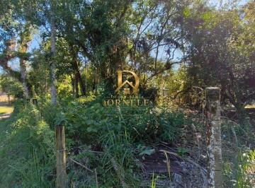 bcs9b02ytaymzu5owuymtnj_md · Chácara com casa riacho terreno plano, ótimo acesso em Santo Amaro da Imperatriz