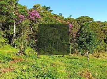 zymrjfc2owvkmdg4otllnzgx_md · Sítio 2 hectares em Santa Isabel Águas Mornas com nascente e energia