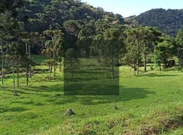 uqt7nas2owvkmjk5ogq4yzk0_md · Fazenda 1000 hectares em Anitápolis ideal para hotel fazenda ou reflorestamento