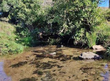 rqch001-1 · Chácara 7.500 m² em Rancho Queimado com riacho vista energia e acesso