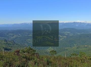 sugqkne2owvlndnhyzfintq4_md · Área 58 hectares em Anitápolis com altitude vista e ideal para pousada