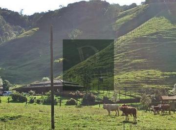 mgqyom2owvjywu1mzuzytux_md · Sítio pronto para morar, Casa madeira de lei, Lagoa, água, pastagem em Angelina