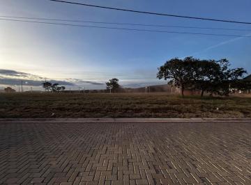 Terreno · Terreno à venda - em Rifaina