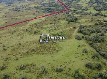 Rural · 2400000m² · Fazenda 225 Hectares Pinheiro Machado RS - R$15.000/ha