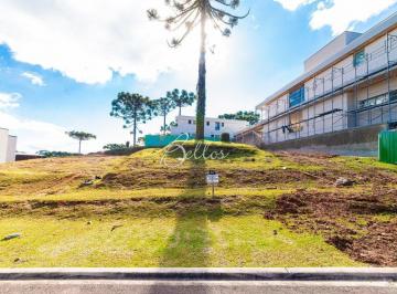Terreno · 772m² · Terreno à venda - em Augusta