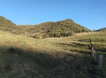 Rural · 8ha · 8 ha, área rural, Val de Buia, Silveira Martins.