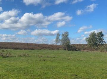 Terreno , Araçoiaba da Serra · Terrenos em Araçoiaba da Serra plano