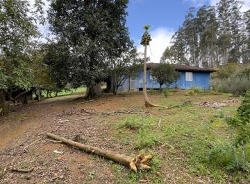 Rural de 4 quartos, Benedito Novo · Chácara com Água Corrente, Casa de Madeira Nativa e Muito Verde! ️Aceito entrada + parcelamento