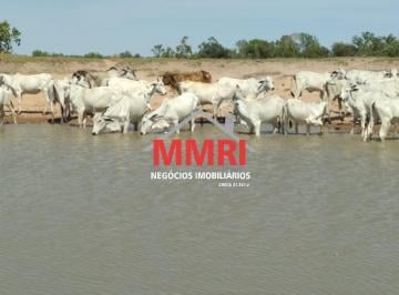 Foto 11 · Fazenda, Área Rural, São Félix do Araguaia, MT