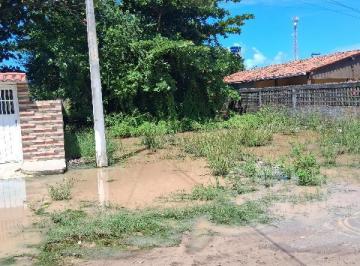 Photo_0 · 
                Oportunidade Única em SAO JOSE DA COROA GRANDE - PE | Tipo: Terreno | Negociação: V