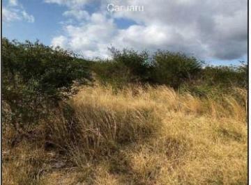Photo_0 ·
Oportunidade Única em CARUARU - PE | Tipo: Terreno | Negociação: Venda Direta Onlin