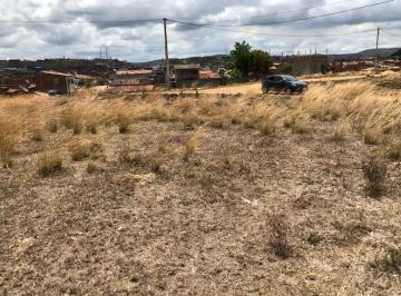 Photo_0 · 
                Terreno 12,00m x 25,00m em Timbaúba, Aceito Automóvel, Excelente Localização
      