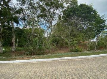 Photo_0 · 
                Oportunidade Única em ALIANCA - PE | Tipo: Terreno | Negociação: Venda Online  | Si