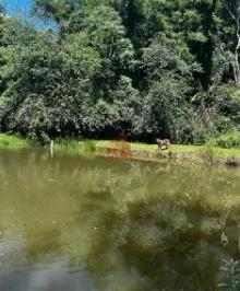 Rural · 13000m² · 3 Quartos · 3 Vagas · Sítio Completo à Venda na Divisa de São Roque e Santana de Parnaíba