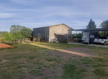 332085463_881817789739974_8647019566707009106_n · sitio dois hectares - Viamão