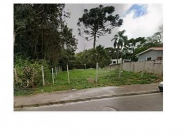 183006fa1140e1a0606650e25b2c04.jpeg · Ótimo terreno em Piraquara com 480m²