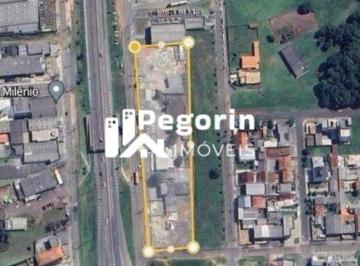 Foto 1 · Terreno à venda em Fazenda Rio Grande, Eucalíptos, 10.412,00m²