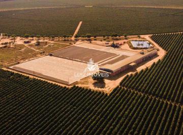 i1.jpg · Vendo Fazenda Café 1.216Hectares Norte De Minas 