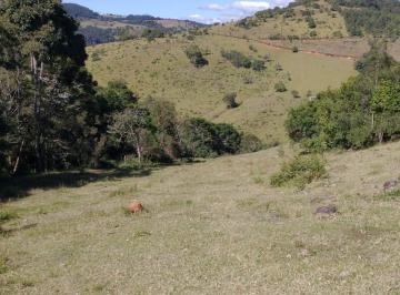 1.jpg · Rural para Venda em Munhoz/MG - 1 Dorm. 20000 m2 Área Útil
