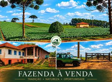 1,1.jpg · Rural para Venda em Munhoz/MG - 1 Dorm. 60 ha Área Útil