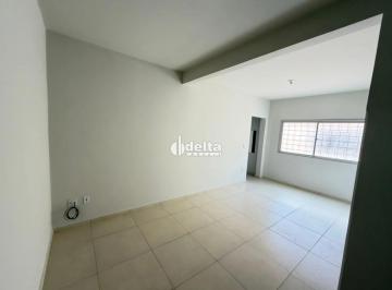 Apartamento · 57m² · 1 Quarto · 1 Vaga · Apartamento com 1 quarto disponível para locação no bairro Lidice em Uberlândia-MG