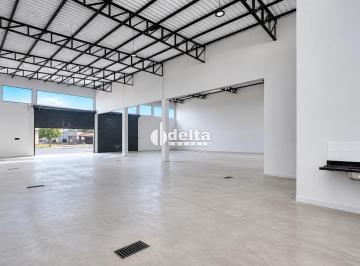 Comercial · 230m² · Galpão disponível para locação no bairro Segismundo Pereira em Uberlândia-MG