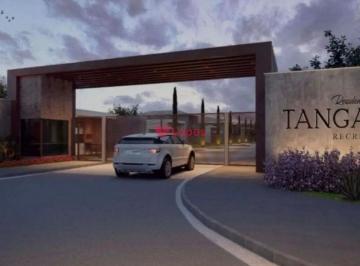 Terreno · 180m² · Lopes B2E vende excelente oportunidade de terreno de alto padrao em area mais nobre atualmente do Re