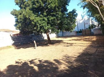 Terreno · 527m² · Terreno para venda em Vila Nossa Senhora De Fátima de 527.00m²