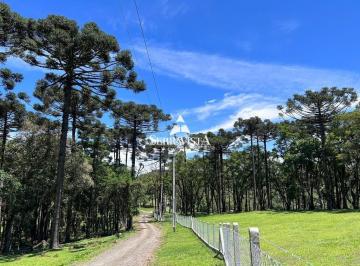 25260656_4.jpg · Terreno para chácara em Campo Alegre- condições facilitadas