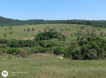 Foto 01 · Chácara 60.000m2, Rica em Água com Nascentes na Propriedade, Sem Benfeitorias, Ótima Localização