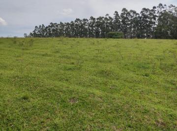 Foto 01 · Sítio 18 Alqueires, Rico em Água com 4 Lagos e Nascentes, Casa Sede, 12 Alqueires em Área De Plantio