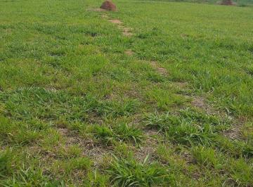 Foto 18 · Solar das Esmeraldas Condomínio Fechado Terreno 300m2 Plano bem localizado no Condomínio,portaria 24