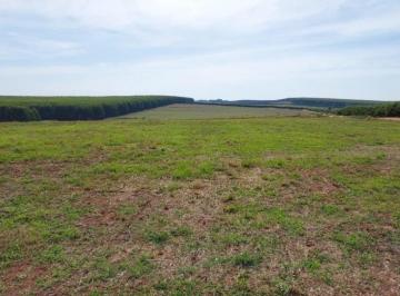Foto 01 · FAZENDA A VENDA NA REGIÃO DE BAURU-SP ??   - Área Total de 71 Alqueires ou 171,82 Hectares   - 62 Al