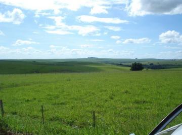 Foto 01 · Fazenda 1194 Alqueires, Montada e Estruturada na Pecuária, Topografia Plana, Terra Vermelha, Rica em