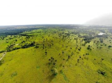 Foto 01 · Fazenda 335 Alqueires, 260 Alqueires em Pasto, 900 Hectares Podendo Plantar, 100% Plana, Rica em Águ