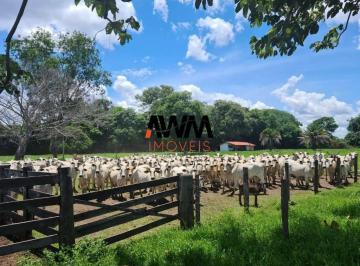 Imagem 1 · Fazenda