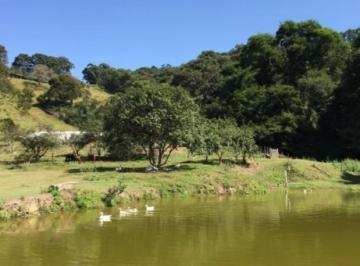 Imagem 1 · Fazenda
