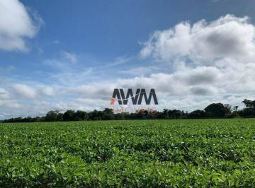 Imagem 1 · Fazenda