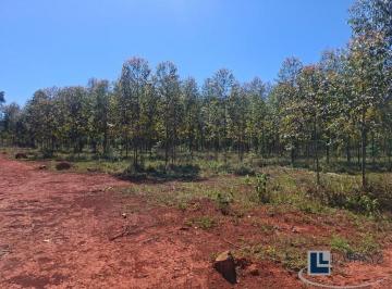 Imagem 1 · Fazenda