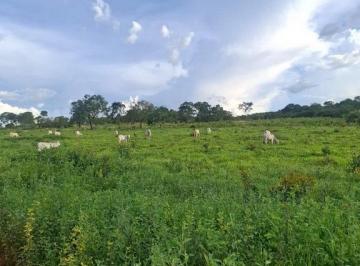 Imagem 1 · Fazenda