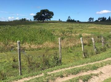 Imagem 1 · Fazenda