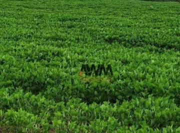 Imagem 1 · Fazenda