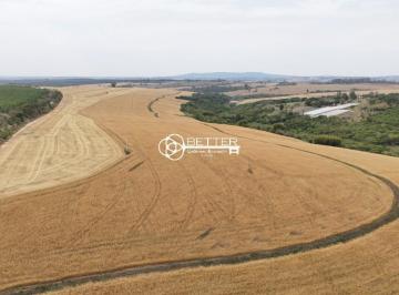 Imagem 1 · Fazenda