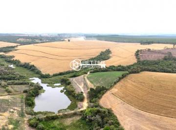 Imagem 1 · Fazenda