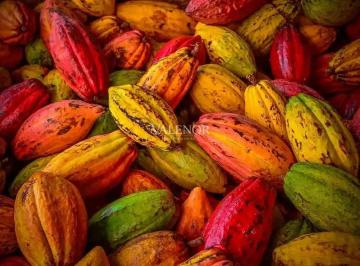 Imagem 1 · Fazenda
