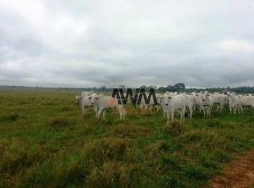 Imagem 1 · Fazenda