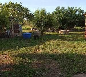 Imagem 1 · Fazenda