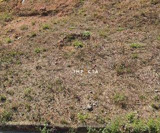 Imagem 1 · Terreno
