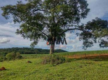 Imagem 1 · Fazenda